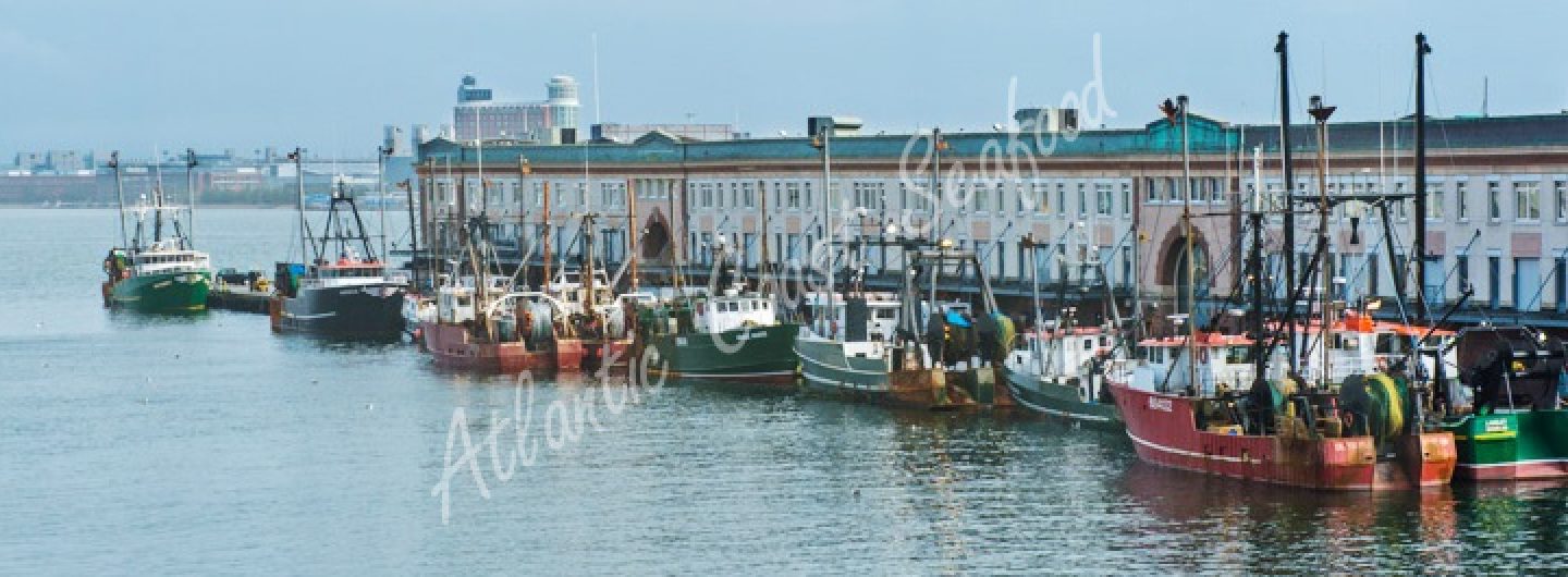 Atlantic Coast Seafood