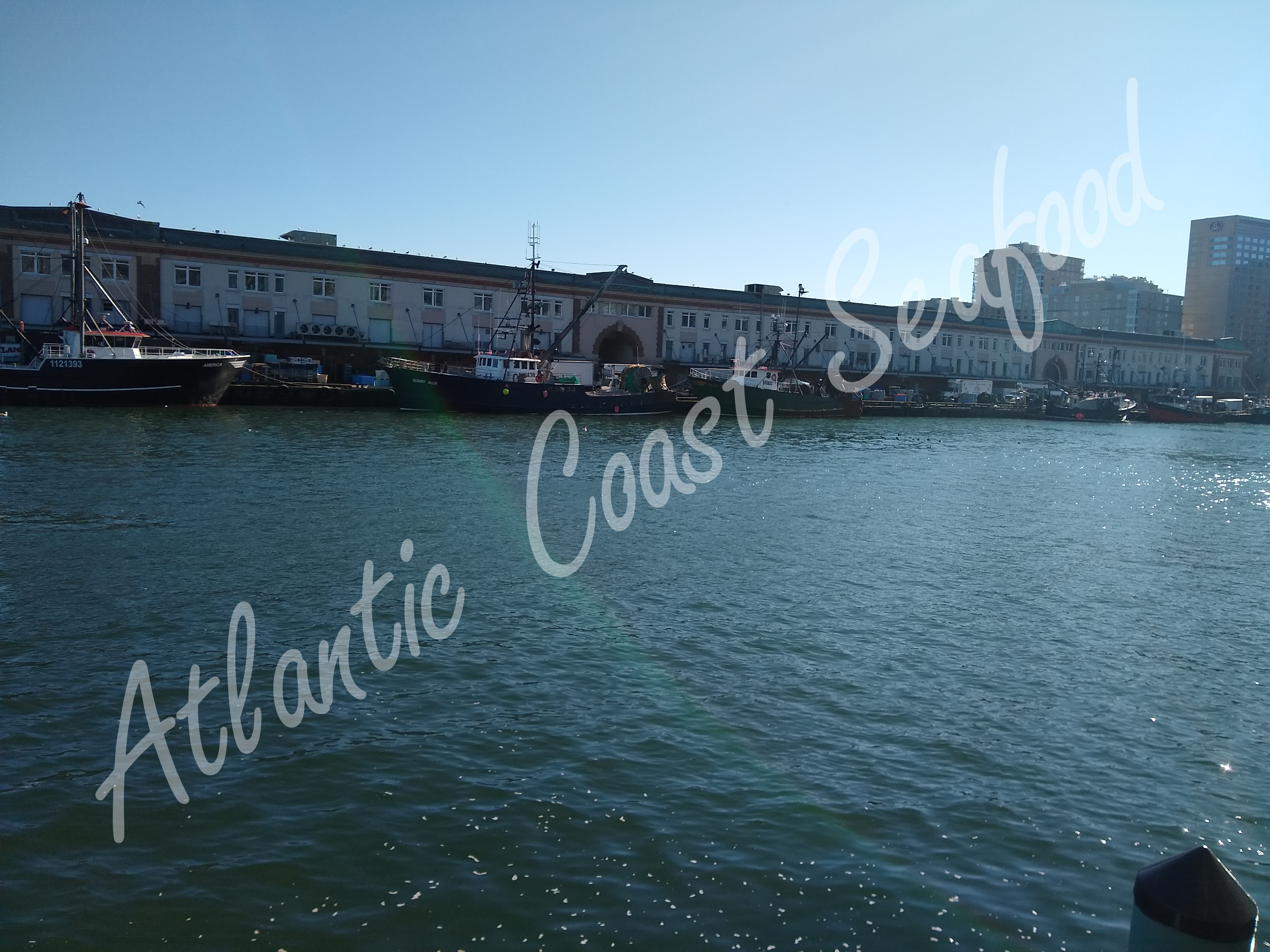 IMG_20200129_125430528 (1)